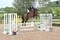 Kieran Thurkettle and LSS Mayweather Triumph in Ariat Senior British Novice Second Round at Muirmill 